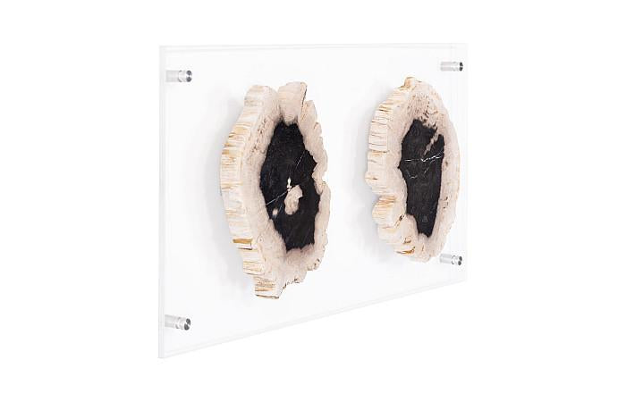 PETRIFIED DOUBLE SLICE WALL ART