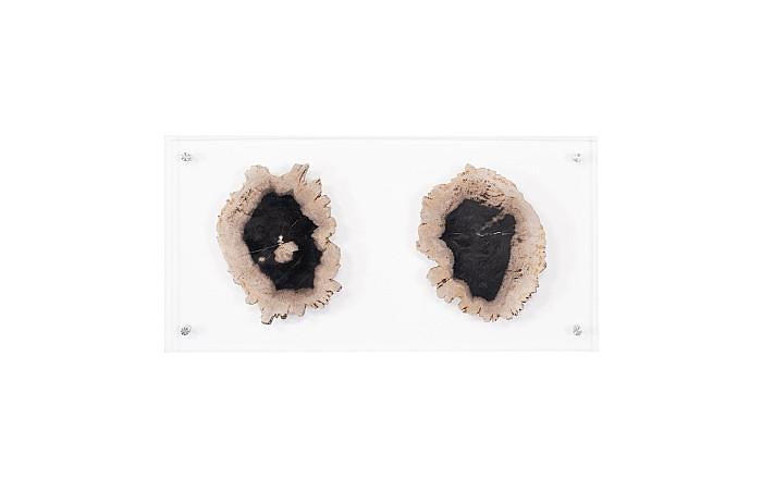 PETRIFIED DOUBLE SLICE WALL ART