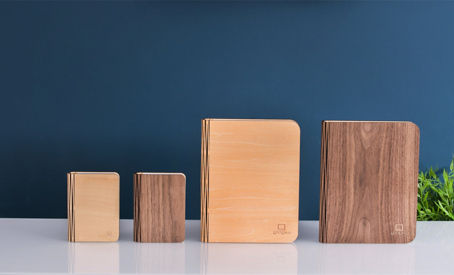 Large Walnut Smart Book