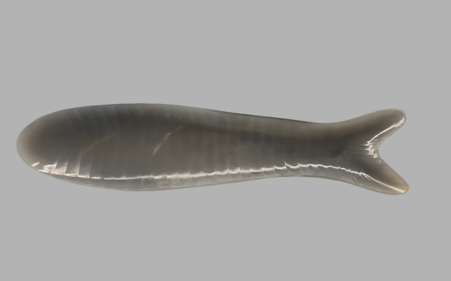 PESCADO RESINA