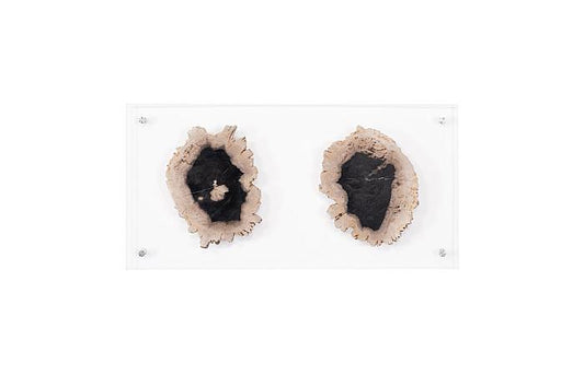 PETRIFIED DOUBLE SLICE WALL ART